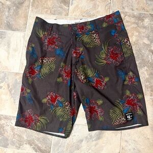 Van Vanphibian shorts 32